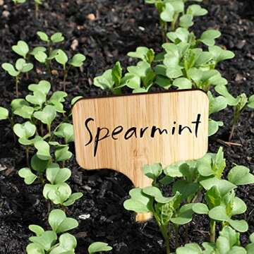 HOMENOTE Bamboo Plant Labels - Eco-Friendly Garden Markers