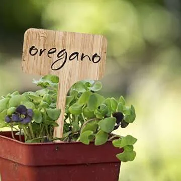 HOMENOTE Bamboo Plant Labels - Eco-Friendly Garden Markers
