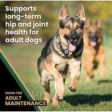 Victor Super Premium Grain Free Dog Food for Active Dogs