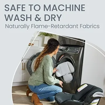 Britax Willow S Infant Car Seat with Alpine Base