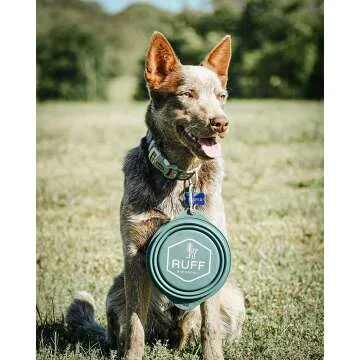 Ruff Products Collapsible BarkBowl - 800ml Dog Bowl