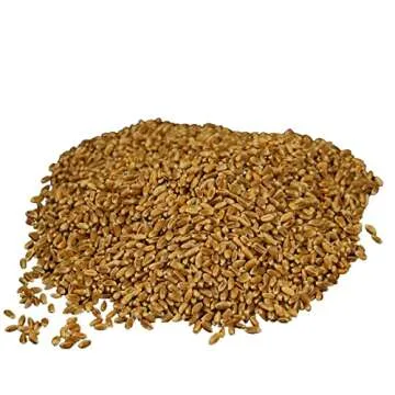 Wheatland™ Organic Hard Red Wheat Berries • 20lb Bucket, Sealed in Mylar • Emergency Food Storage • Grown by Family Farmers in Utah/Idaho • 25 yr. Shelf Life • Sproutable • Certified Organic