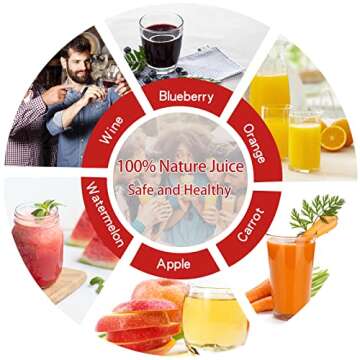 4.75 Gallon Fruit Wine Press - 100% Nature Apple&Grape&Berries Crusher Manual Juice Maker for Kitche...