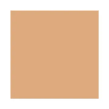 Dior Backstage Airflash Spray Foundation 301 Sand (Light to Medium: Warm Yellow Undertone)