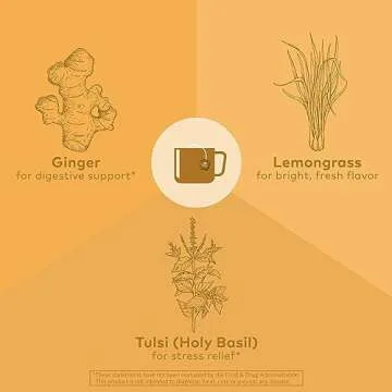 ORGANIC INDIA Tulsi Lemon Ginger Tea Bags - Herbal Tea, Stress Relieving & Reviving, Immune Support, Aids Digestion, Vegan, USDA Certified Organic, Non-GMO, Caffeine-Free - 18 Infusion Bags, 3 Pack