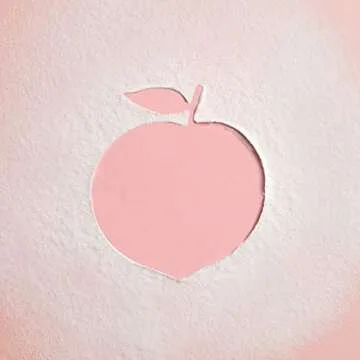 SKINFOOD Peach Cotton Multi Finish Powder 15g for Oily Skin