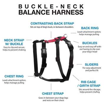 Blue-9 Pet Products No-Pull Balance Harness and Loose Leash Walking Set Dogs, Made in The USA, Red, Medium/Large