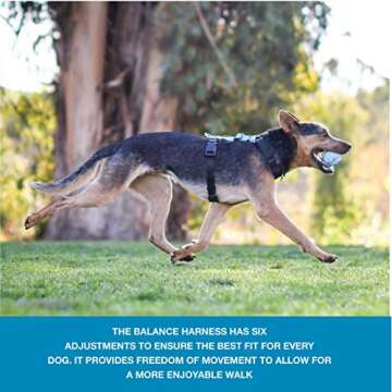 Blue-9 Pet Products No-Pull Balance Harness and Loose Leash Walking Set Dogs, Made in The USA, Red, Medium/Large