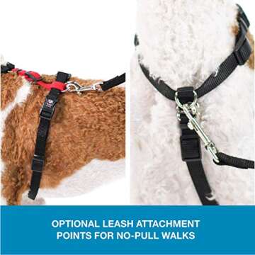 Blue-9 Pet Products No-Pull Balance Harness and Loose Leash Walking Set Dogs, Made in The USA, Red, Medium/Large