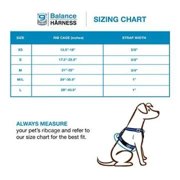 Blue-9 Pet Products No-Pull Balance Harness and Loose Leash Walking Set Dogs, Made in The USA, Red, Medium/Large