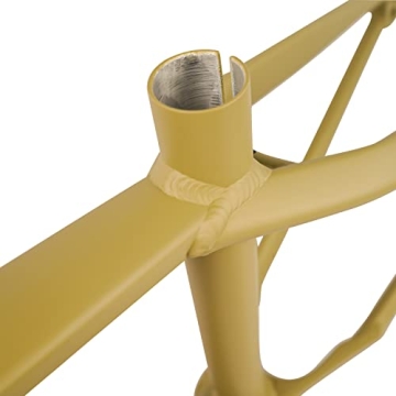 ALAUDARK Lark DJ BMX Bike Frame – Affordable Dirt Jumping Performance