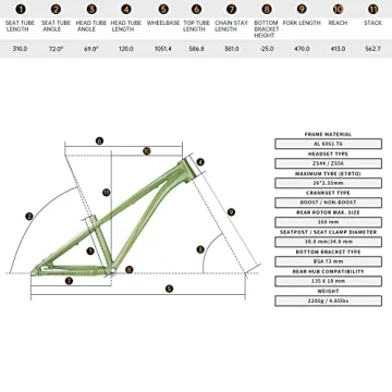 ALAUDARK Lark DJ BMX Bike Frame – Affordable Dirt Jumping Performance