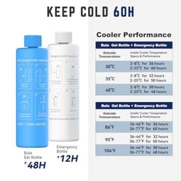 DISONCARE 60H Insulin Cooler with Temp Display