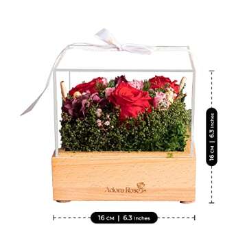 Flora Decor Box | Handmade Preserved Red Real Rose, Eternal Flowers Rose Gifts for Women, Mom, Wife and Girlfriend on Christmas, Valentines Day, Mothers Day, Anniversary, Birthday Gifts for Her
