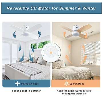 Ohniyou Ceiling Fan with Lights - Smart & Quiet Design