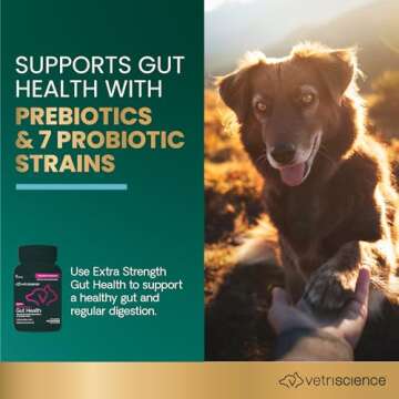 VetriScience Extra Strength Gut Health Probiotics for Dogs & Cats, Digestion Support, Gas & Diarrhea, Itchy Dogs, Cough, Immune Support, 7.5 Billion CFU Per Capsule, 120 Count
