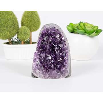 Crocon Amethyst Cluster Powerful deep Purple Crystals (1.4 lb to 1.7 lb) raw Rock geode Healing Reik...