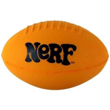 World's Smallest Nerf Football for Any Occasion