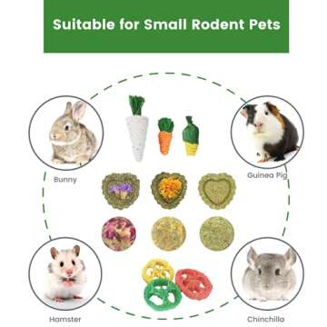 Lacrima Rabbit Chew Toys 12PCS, Guinea Pig Toys, Bunny Toys for Teeth, Chew Toys and Treats for Rabbit Guinea Pig Hamster Chinchilla, Small Animal Teeth Care