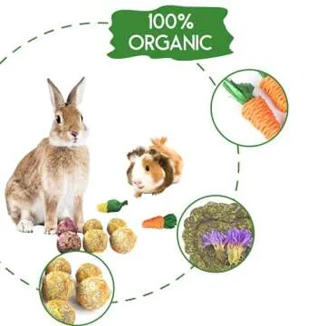 Lacrima Rabbit Chew Toys 12PCS, Guinea Pig Toys, Bunny Toys for Teeth, Chew Toys and Treats for Rabbit Guinea Pig Hamster Chinchilla, Small Animal Teeth Care