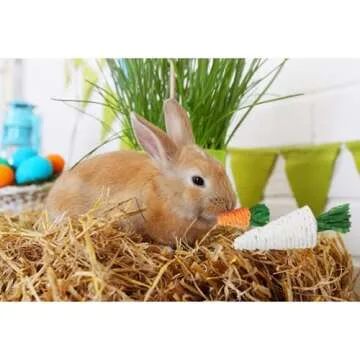 Lacrima Rabbit Chew Toys 12PCS, Guinea Pig Toys, Bunny Toys for Teeth, Chew Toys and Treats for Rabbit Guinea Pig Hamster Chinchilla, Small Animal Teeth Care