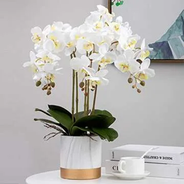 FagusHome 32" Artificial Phalaenopsis Flowers 6 Pcs Artificial Orchid Flowers Stem Plants for Home Décor (6Pcs)