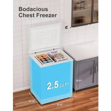 Compact 2.5 Cu.Ft Chest Freezer - Efficient & Quiet