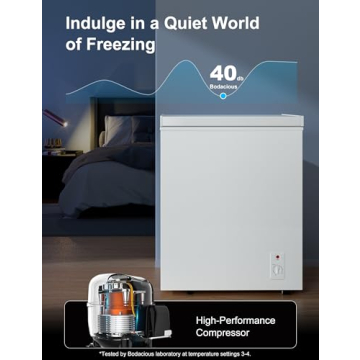 Compact 2.5 Cu.Ft Chest Freezer - Efficient & Quiet