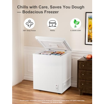 Compact 2.5 Cu.Ft Chest Freezer - Efficient & Quiet