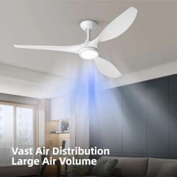 Roomratv Ceiling Fan Quiet DC Motor with Lights