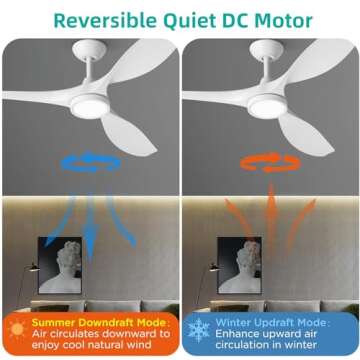 Roomratv Ceiling Fan Quiet DC Motor with Lights