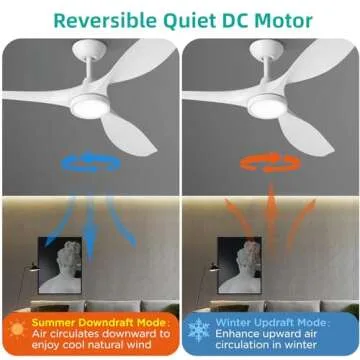 Roomratv Ceiling Fan Quiet DC Motor with Lights