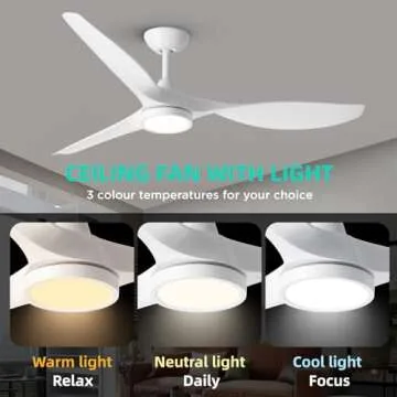 Roomratv Ceiling Fan Quiet DC Motor with Lights