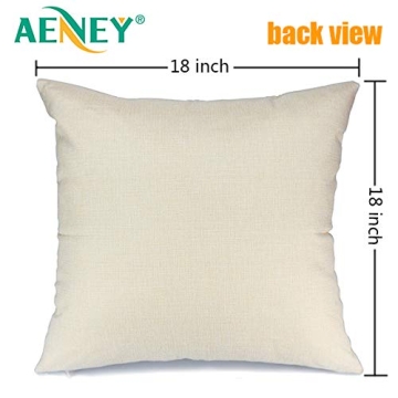 AENEY Fall Decorative Pillow Covers Set of 4 for Thanksgiving