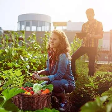 Dicunoy Wicker Picnic Basket - Perfect for Gatherings