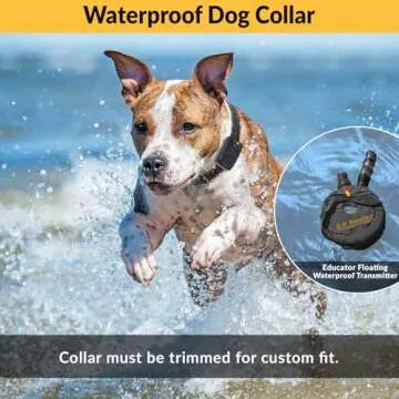 Educator K9 Tactical Handler, 3/4 Mile Range, Waterproof