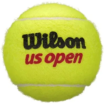 WILSON US Open Extra Duty Tennis Balls for Ultimate Performance