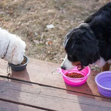 Prima Pet Collapsible Travel Bowl – Durable and Portable