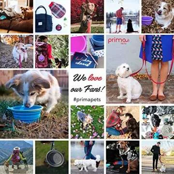 Prima Pet Collapsible Travel Bowl – Durable and Portable