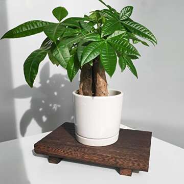 Wooden Soap Stand with String Beaded Decoration Wood Farmhouse Tray Plant Holder for Bottles Wood Riser Pedestal Stand Wood Tray for Kitchen Bathroom Sink Decorative (Vintage Black)