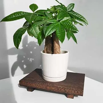 Wooden Soap Stand with String Beaded Decoration Wood Farmhouse Tray Plant Holder for Bottles Wood Riser Pedestal Stand Wood Tray for Kitchen Bathroom Sink Decorative (Vintage Black)