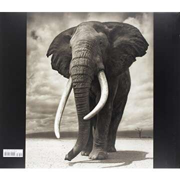 Across the Ravaged Land