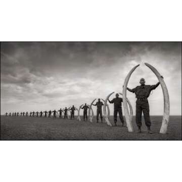 Across the Ravaged Land