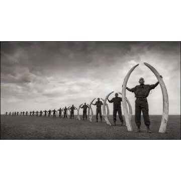 Across the Ravaged Land