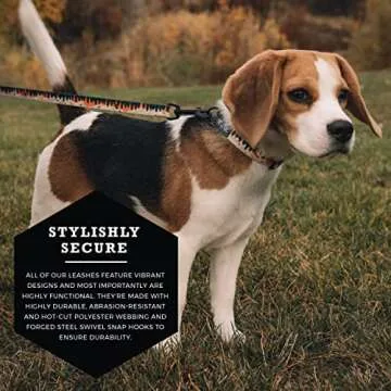 Wolfgang Premium Dog Leash for Large Dogs - Stylish & Heavy Duty