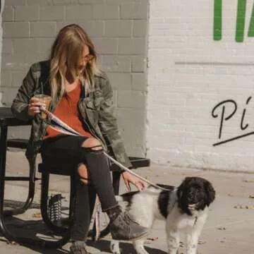 Wolfgang Premium Heavy Duty Dog Leash for Large Dogs