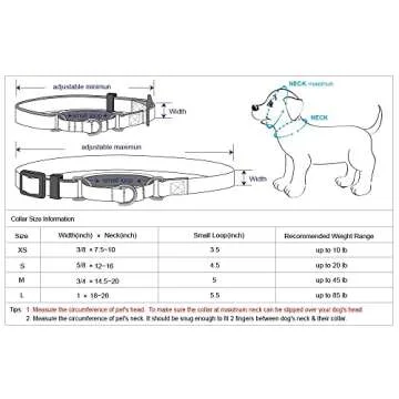 Blueberry Pet Spring Scent Inspired Rose Print Martingale Safety Training Dog Collar, Irish Blue, Large, Heavy Duty Adjustable Collars for Dogs