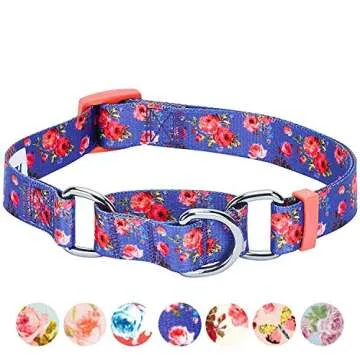Blueberry Pet Spring Scent Inspired Rose Print Martingale Safety Training Dog Collar, Irish Blue, Large, Heavy Duty Adjustable Collars for Dogs