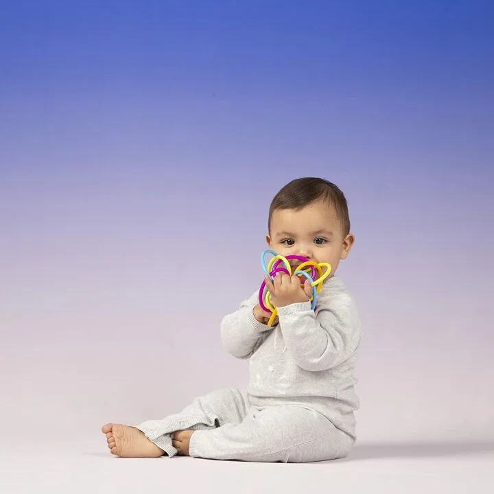 Manhattan Toy Winkel Rattle Sensory Teether for Babies
