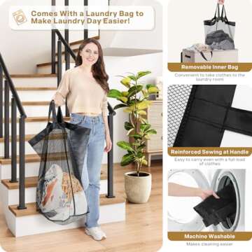 SOLEDI Large Double Laundry Hamper with Lid, Collapsible Clothes Hamper 2 section with Removable Bags, Space-Saving Laundry Basket for Bedroom, Dorm, College